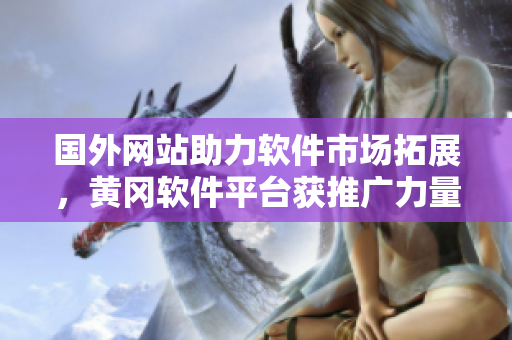 国外网站助力软件市场拓展，黄冈软件平台获推广力量