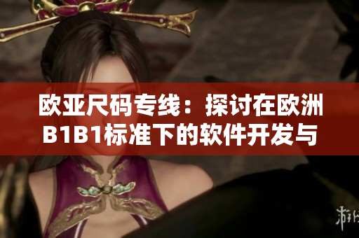欧亚尺码专线：探讨在欧洲B1B1标准下的软件开发与适配