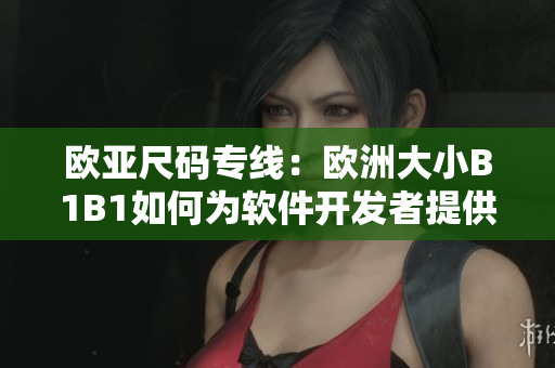 欧亚尺码专线：欧洲大小B1B1如何为软件开发者提供帮助
