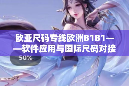 欧亚尺码专线欧洲B1B1——软件应用与国际尺码对接的成功案例