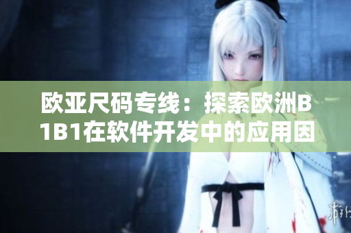 欧亚尺码专线：探索欧洲B1B1在软件开发中的应用因素