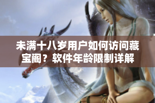 未满十八岁用户如何访问藏宝阁？软件年龄限制详解