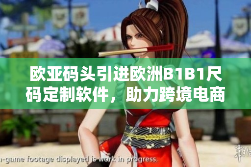 欧亚码头引进欧洲B1B1尺码定制软件，助力跨境电商提升运营效率