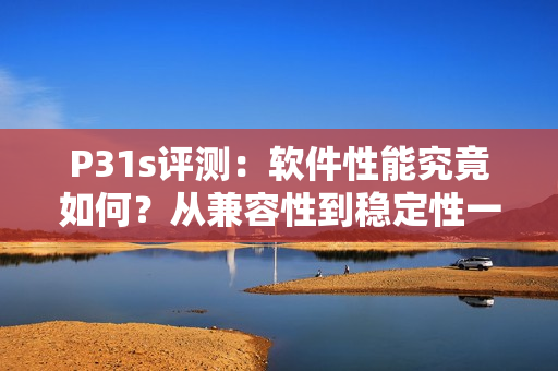 P31s评测：软件性能究竟如何？从兼容性到稳定性一网打尽