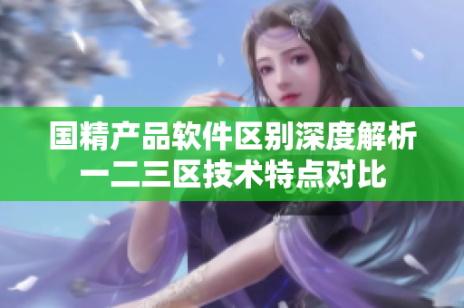 国精产品软件区别深度解析一二三区技术特点对比