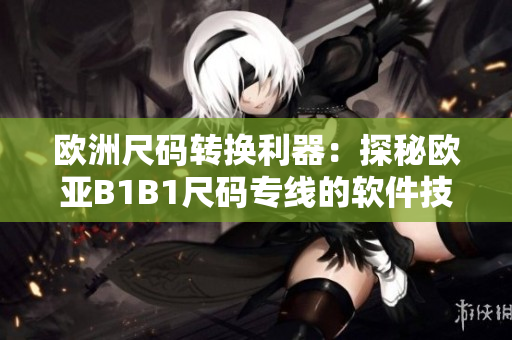 欧洲尺码转换利器：探秘欧亚B1B1尺码专线的软件技术