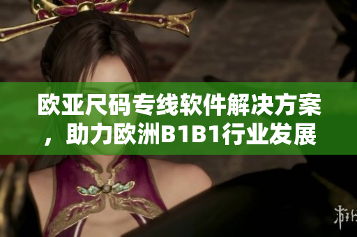 欧亚尺码专线软件解决方案，助力欧洲B1B1行业发展
