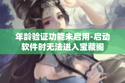 年龄验证功能未启用-启动软件时无法进入宝藏阁
