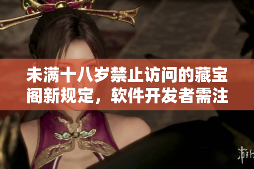 未满十八岁禁止访问的藏宝阁新规定，软件开发者需注意细则