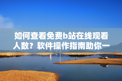 如何查看免费b站在线观看人数？软件操作指南助你一键获取