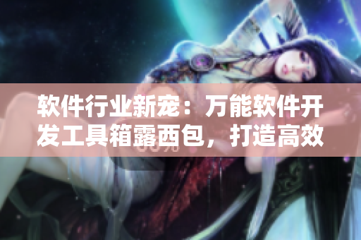 软件行业新宠：万能软件开发工具箱露西包，打造高效开发模式