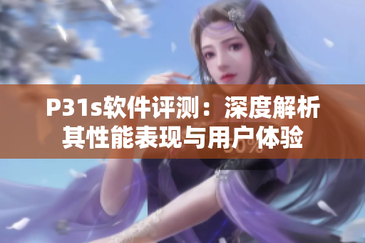 P31s软件评测：深度解析其性能表现与用户体验