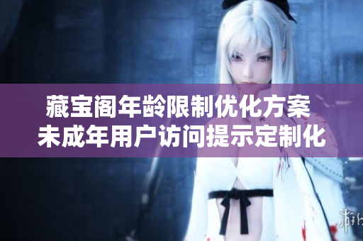 藏宝阁年龄限制优化方案 未成年用户访问提示定制化及用户验证流程更新