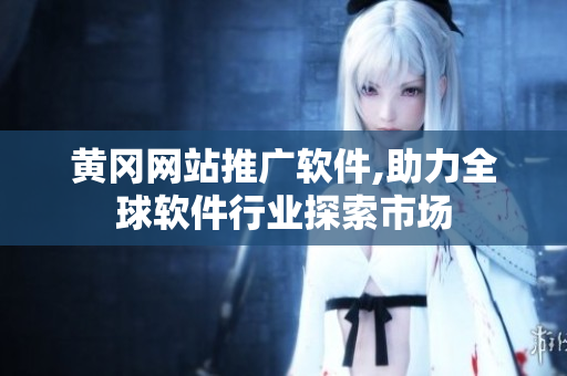 黄冈网站推广软件,助力全球软件行业探索市场