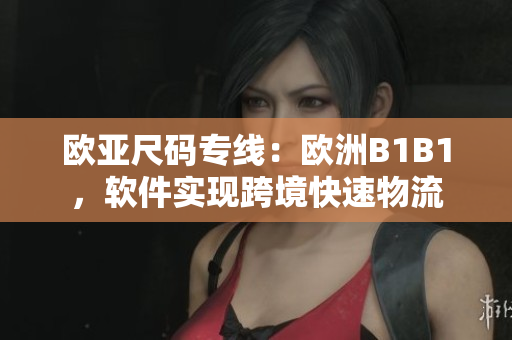 欧亚尺码专线：欧洲B1B1，软件实现跨境快速物流
