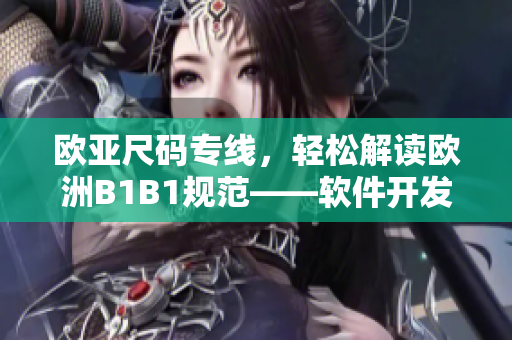 欧亚尺码专线，轻松解读欧洲B1B1规范——软件开发者必备指南