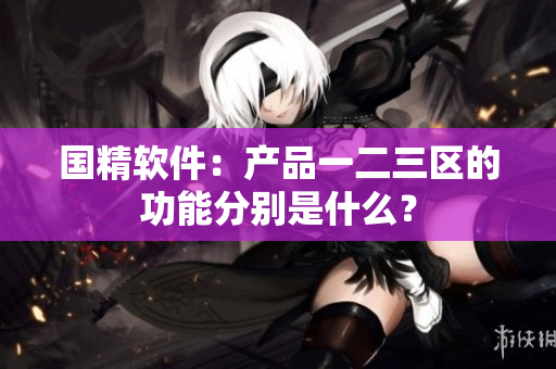 国精软件：产品一二三区的功能分别是什么？