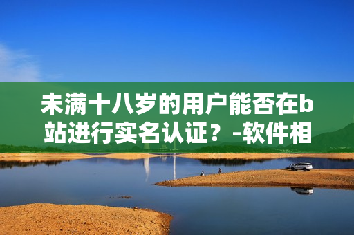 未满十八岁的用户能否在b站进行实名认证？-软件相关探讨
