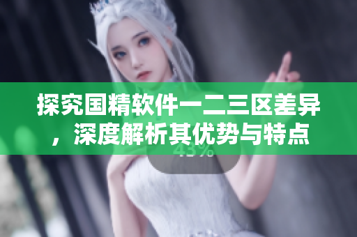 探究国精软件一二三区差异，深度解析其优势与特点