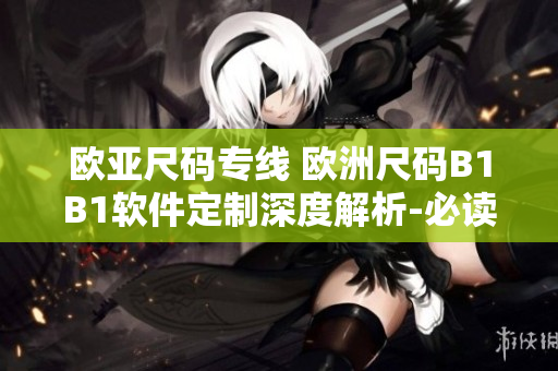 欧亚尺码专线 欧洲尺码B1B1软件定制深度解析-必读!
