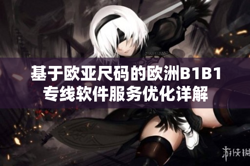 基于欧亚尺码的欧洲B1B1专线软件服务优化详解