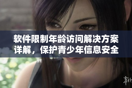 软件限制年龄访问解决方案详解，保护青少年信息安全并提升用户体验