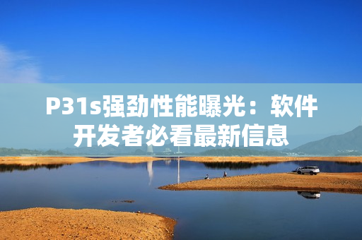 P31s强劲性能曝光：软件开发者必看最新信息