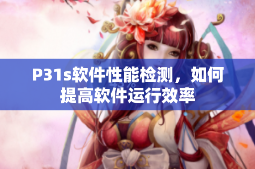 P31s软件性能检测，如何提高软件运行效率