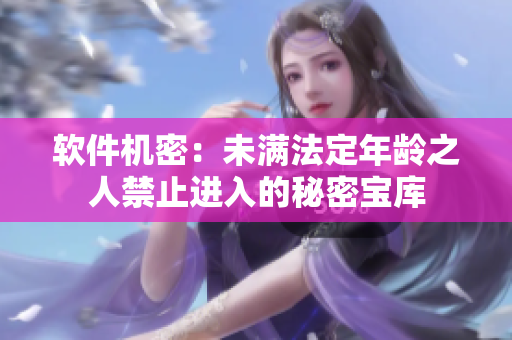 软件机密：未满法定年龄之人禁止进入的秘密宝库
