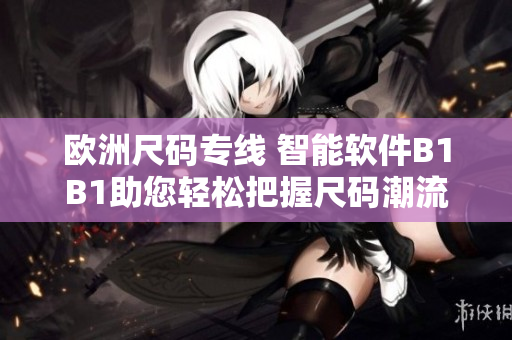 欧洲尺码专线 智能软件B1B1助您轻松把握尺码潮流