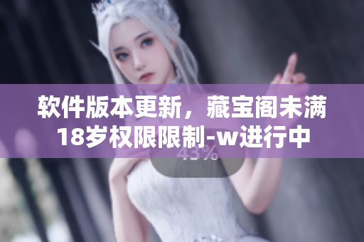 软件版本更新，藏宝阁未满18岁权限限制-w进行中