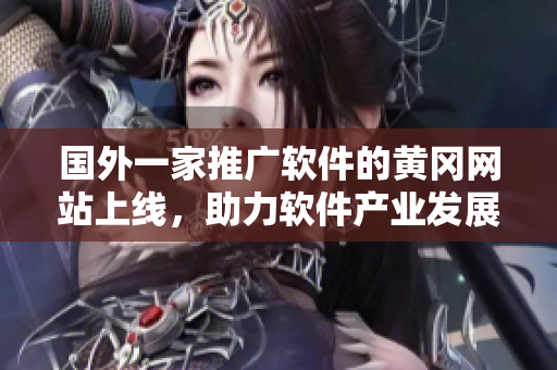 国外一家推广软件的黄冈网站上线，助力软件产业发展