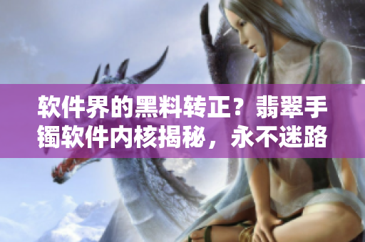软件界的黑料转正？翡翠手镯软件内核揭秘，永不迷路的开发者之路。