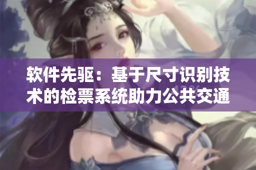 软件先驱：基于尺寸识别技术的检票系统助力公共交通提速