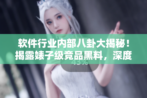 软件行业内部八卦大揭秘！揭露婊子级竞品黑料，深度解读软件长路漫漫