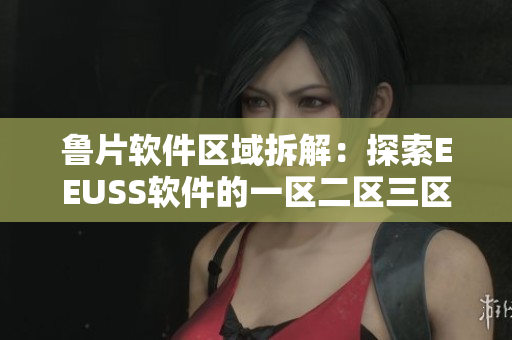 鲁片软件区域拆解：探索EEUSS软件的一区二区三区