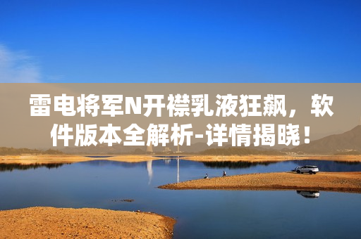 雷电将军N开襟乳液狂飙，软件版本全解析-详情揭晓！
