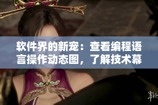 软件界的新宠：查看编程语言操作动态图，了解技术幕后黑客秘密