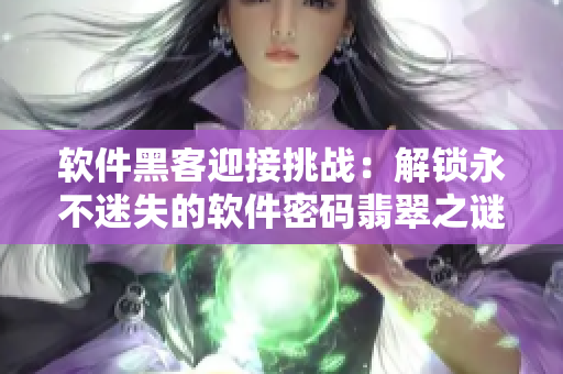 软件黑客迎接挑战：解锁永不迷失的软件密码翡翠之谜