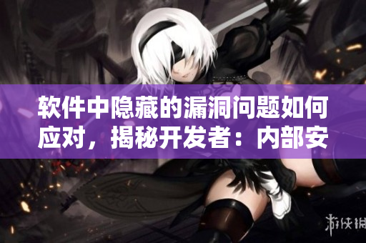 软件中隐藏的漏洞问题如何应对，揭秘开发者：内部安全也需如履薄冰
