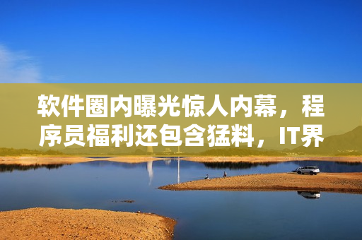 软件圈内曝光惊人内幕，程序员福利还包含猛料，IT界掀起新一波关注热潮