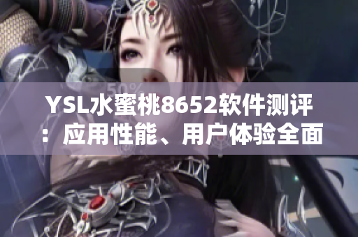 YSL水蜜桃8652软件测评：应用性能、用户体验全面解析