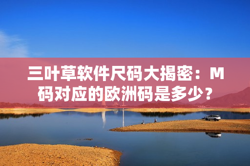 三叶草软件尺码大揭密：M码对应的欧洲码是多少？