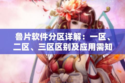 鲁片软件分区详解：一区、二区、三区区别及应用需知