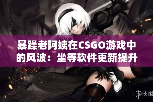 暴躁老阿姨在CSGO游戏中的风波：坐等软件更新提升体验