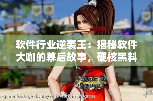 软件行业逆袭王：揭秘软件大咖的幕后故事，硬核黑料集锦！