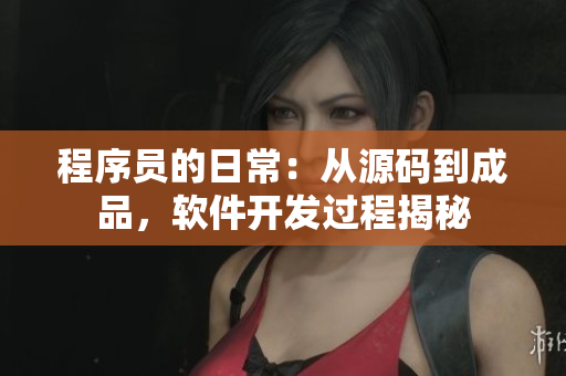 程序员的日常：从源码到成品，软件开发过程揭秘