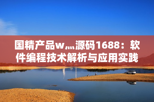 国精产品w灬源码1688：软件编程技术解析与应用实践