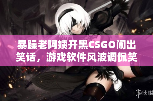 暴躁老阿姨开黑CSGO闹出笑话，游戏软件风波调侃笑点