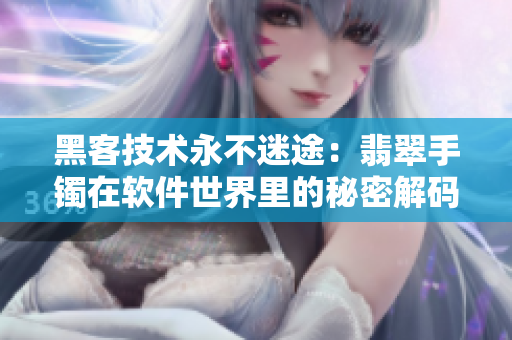 黑客技术永不迷途：翡翠手镯在软件世界里的秘密解码